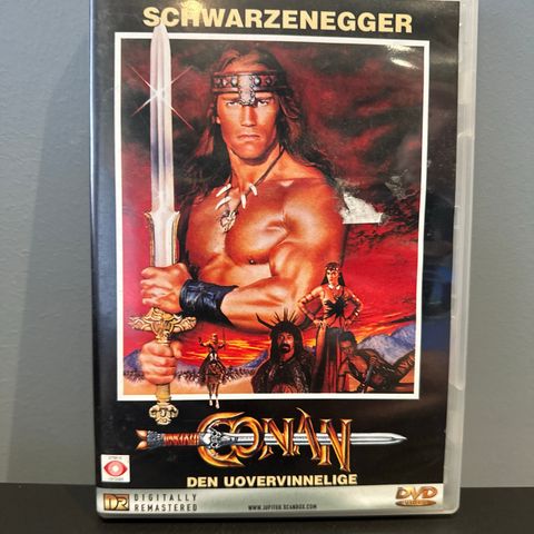 Conan the destroyer