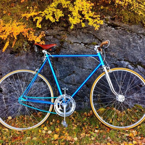 DBS Winner single speed sykkel