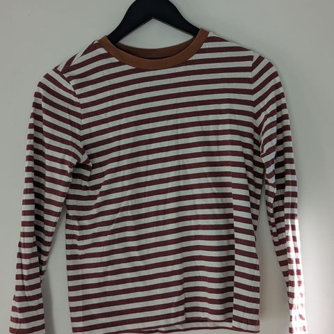 Striped & Other Stories top