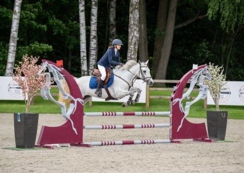 Supersnill 6 år gammel sprangponni selges