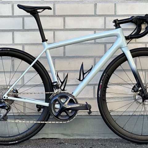 Specialized Aethos Expert str 54