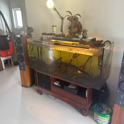 Akvarie 450 L  med 2 pumper og skilpadde pluss noen fisk