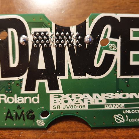 Roland SR-JV80-06 Dance Expansion Card