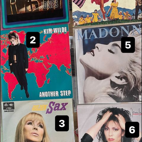 Vinylplater Elvis, Madonna, Tom Jones, Dean Martin, Whitney H mm