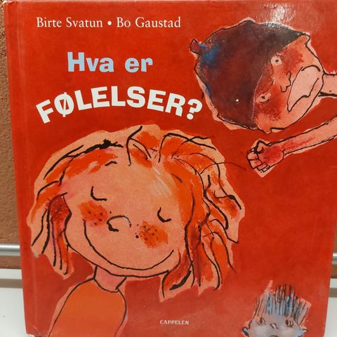 Bokpakke om følelser, " Hva er følelser?"