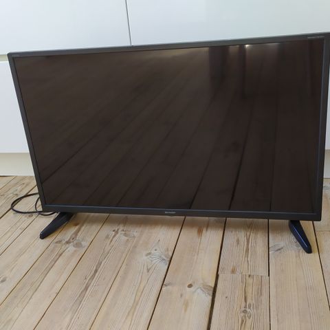 32" Led TV + Chromecast