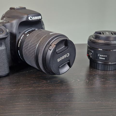 Canon EOS 70D / 18-55 IS STM / EF 50mm f/1.8 STM