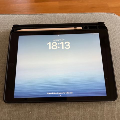 Apple iPad 10,2" WiFi 256 GB med Apple Pencil