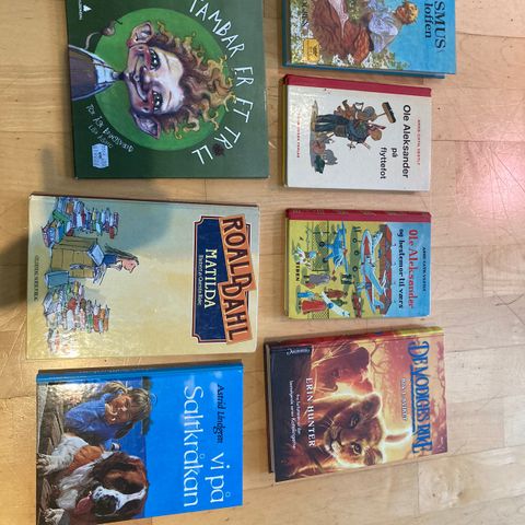 Barnebøker (Astrid Lindgren, Roald Dahl, Anne cath Vestly, Tambar)