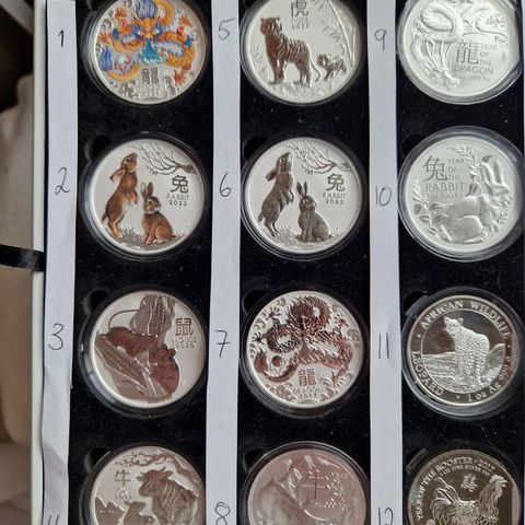 Bredt utvalg av 40stk forskjellige sølvmynter 999s
