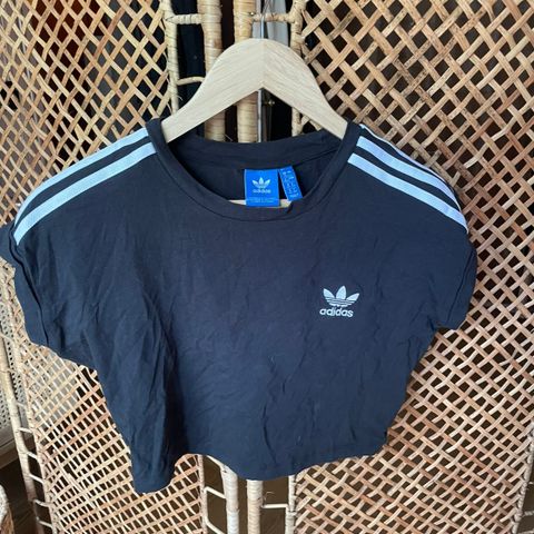 Adidas originals crop t-skjorte / tee