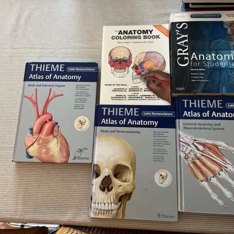 Anatomi bokpakke (Thieme, Grays, ubrukt fargebok)