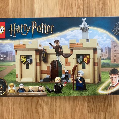 Lego Harry Potter 76395, Hogwarts First Flying Lesson.