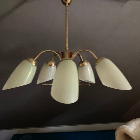 taklampe