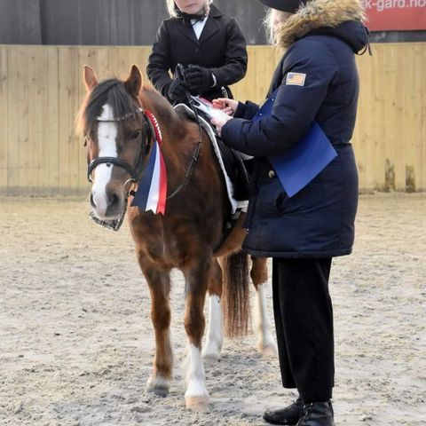 Welsh sec A settes ut på halvfor