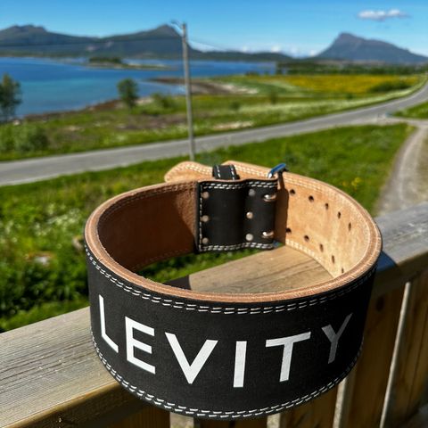 Levity power training belt str L