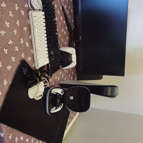 PlayStation 5, monitor & konsoller