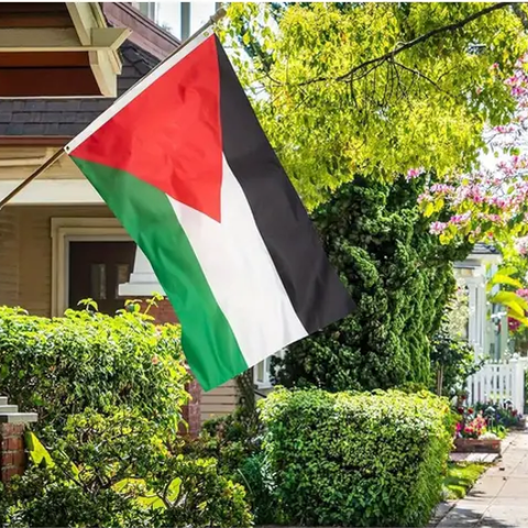 Helt nytt Palestina flagg