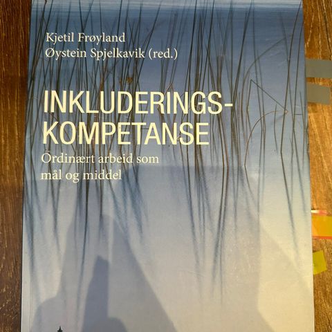 Inkluderings kompetanse