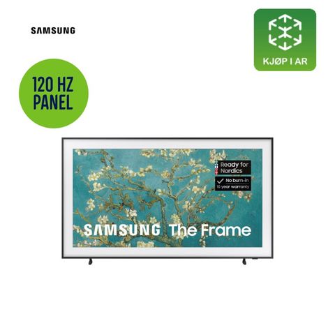 The Frame tv 65’ (2023)