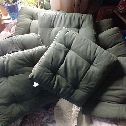 8 grønne sitteputer 40x40, 5 cm høyde