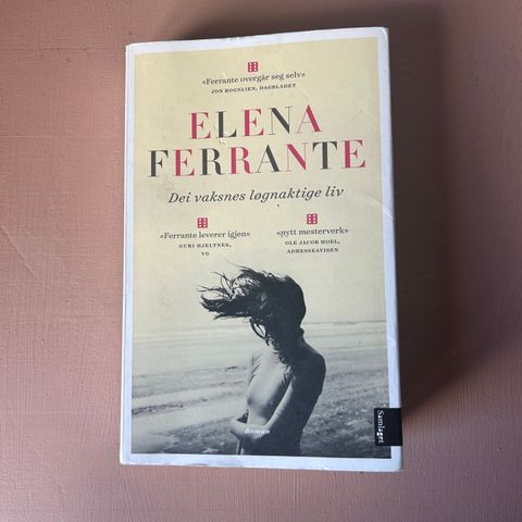 Elena Ferrante + diverse romaner