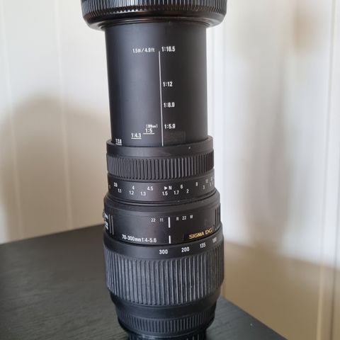 Sigma 70-300 mm f/4-5.6 DG Macro for Sony