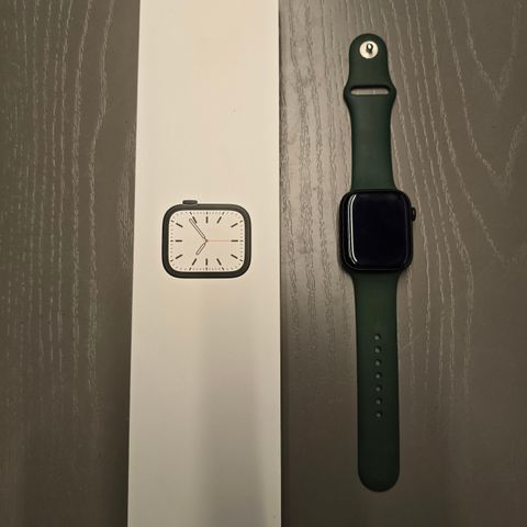 Apple Series 7 GPS+Cellular 45 mm watch