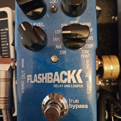 TC Electronic Flashback Delay and Looper