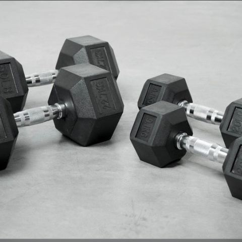 Dumbells 12.5 kg