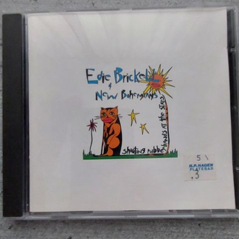 Edie Brickell New Bohemians