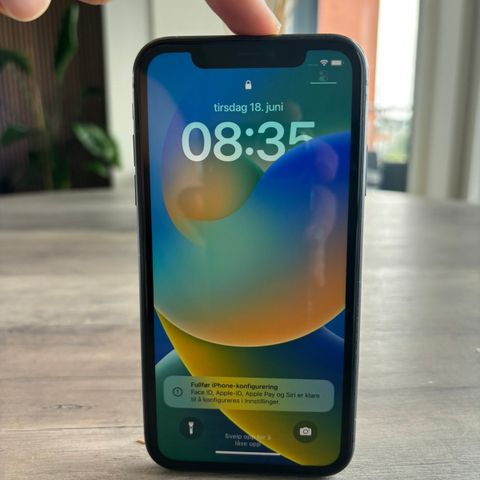 Iphone 11 (64gb)