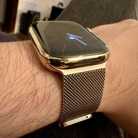Apple Watch serie s9 stainless steal& milanese loop