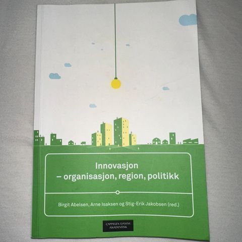 Innovasjon - organisasjon, region, politikk