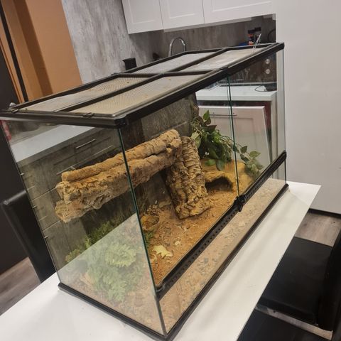 Exo Terra Terrarium 90x62x45cm