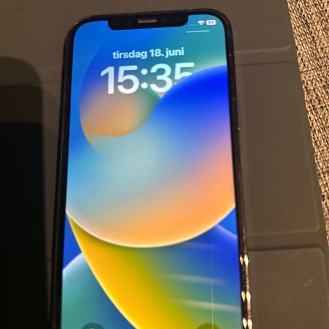 Pentbrukt iphon 12 pro uten riper