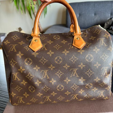 Louis vuitton speedy 30