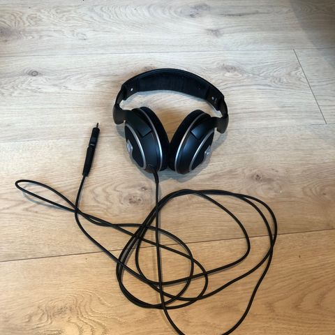 Sennheiser HD 559