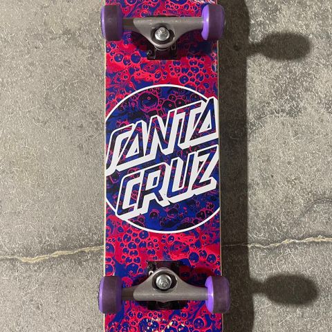 Santa cruz skateboard med beskyttelse