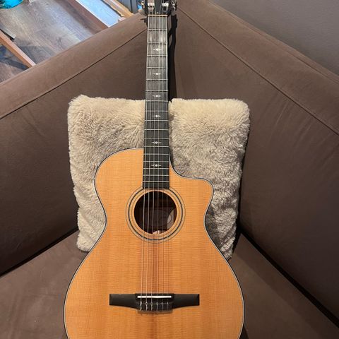 Taylor 312ce-N Grand Concert