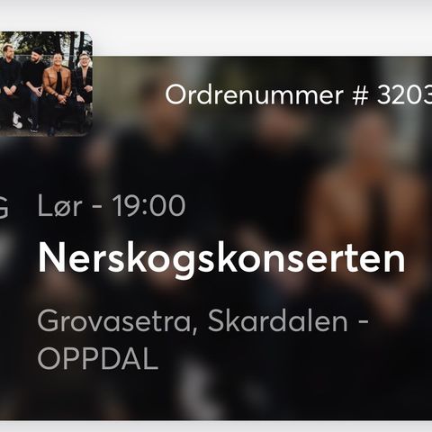 2 stk billetter til Nerskogkonserten 2024 med STAUT, 31.aug