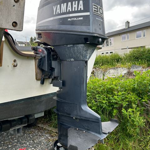1988 Yamaha 30 autolube delemotor