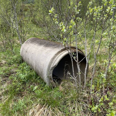 Betongrør gis bort mot henting