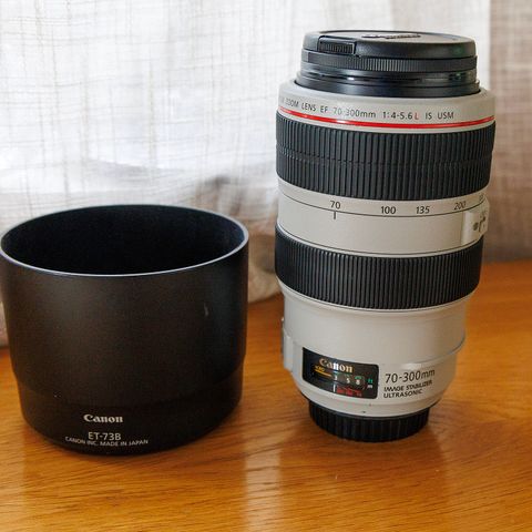 Canon EF 70-300/4.0-5.6 L IS USM