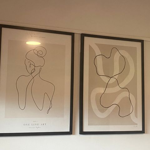 BILDE KUNST OG BILDERAMME DUO