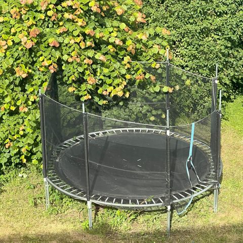 Trampoline med sikkerhetsnett gis bort diameter3,5m