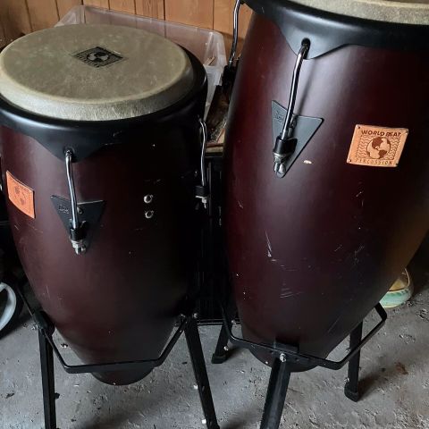 Congas sett