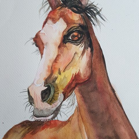 Akvarell maleri Hest i fokus