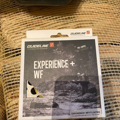 Experience+ WF 5