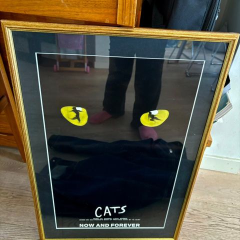 Innrammet musikal-poster fra Cats